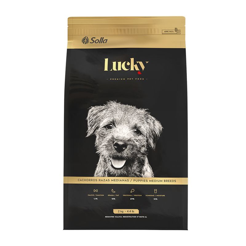 Lucky Cachorros Raza Mediana