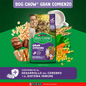 Alimento Dog Chow Gran Comienzo Cachorro Minis y Pequeños