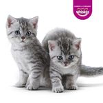 Alimento húmedo Whiskas gatitos sabor Res x85g