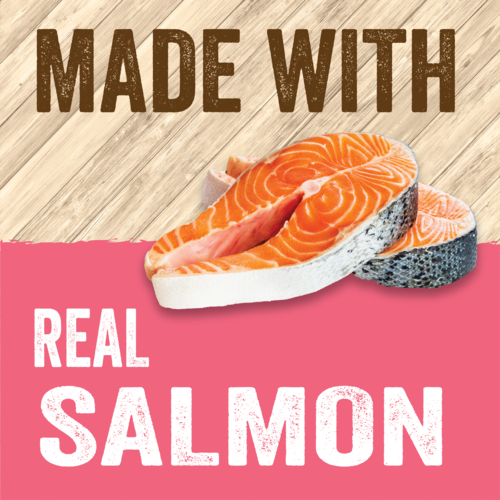 Alimento Húmedo para gatos Evolve grain free salmon & sweet potato