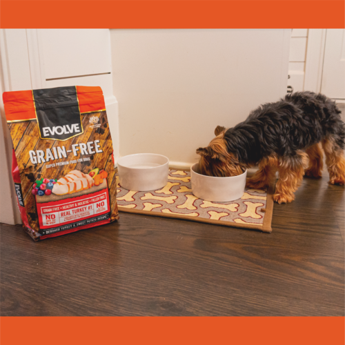 EVOLVE DOG GRAIN FREE TURKEY