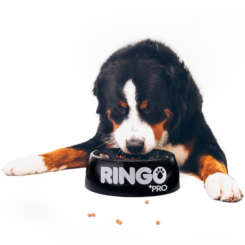 Alimento Perros Ringo +PRO Adultos