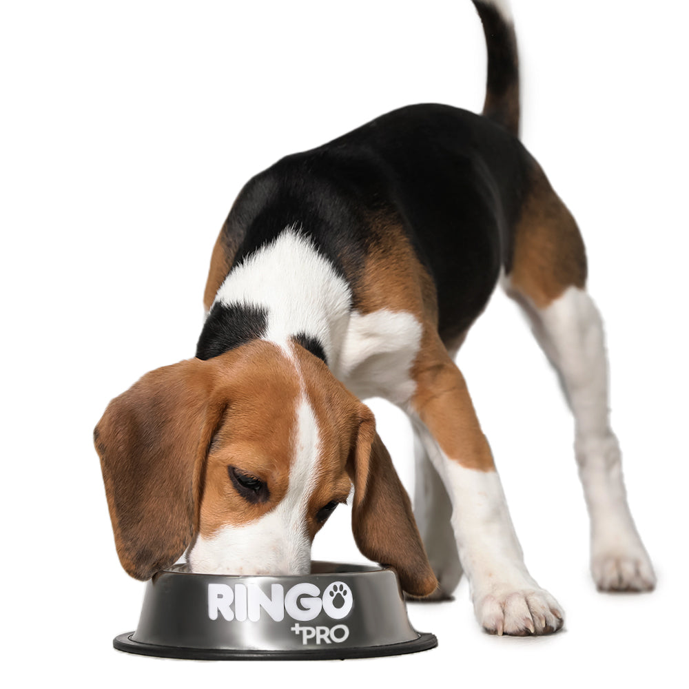 Alimento Ringo +PRO Cachorros