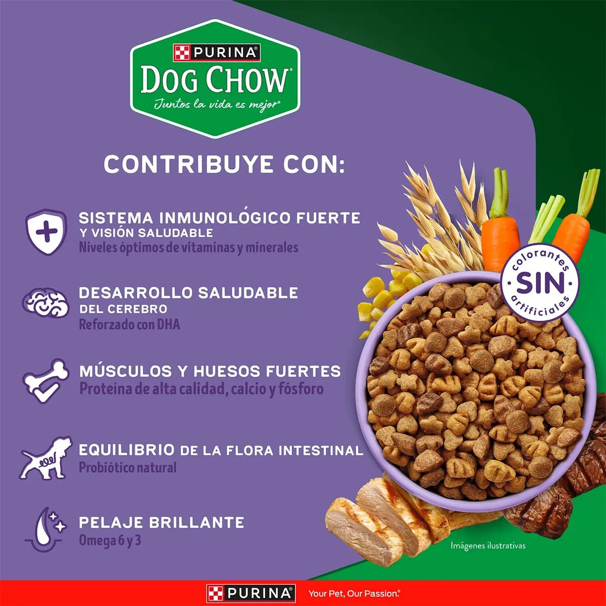 Alimento Dog Chow Gran Comienzo Cachorro Minis y Pequeños - Licious