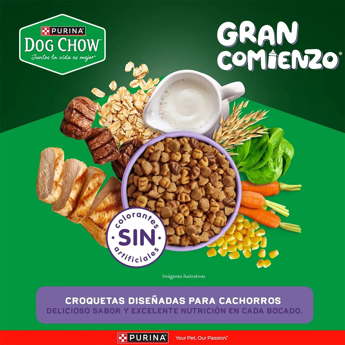 Alimento Dog Chow Gran Comienzo Cachorro Minis y Pequeños - Licious