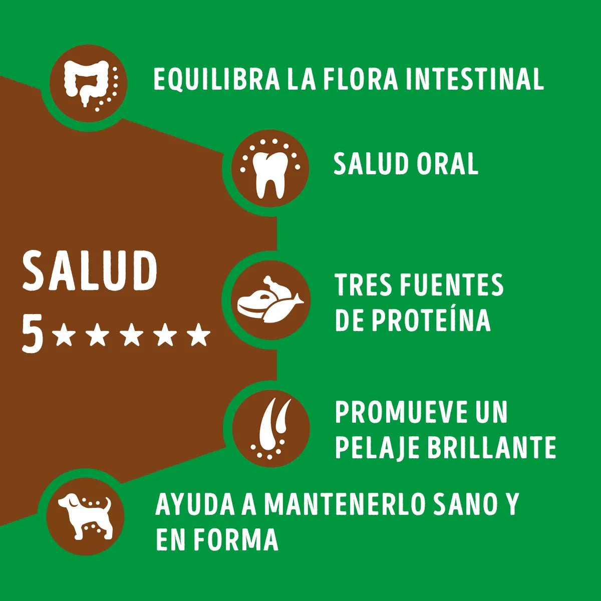 Alimento Dog Chow Salud 5 Estrellas para perros adultos - Licious