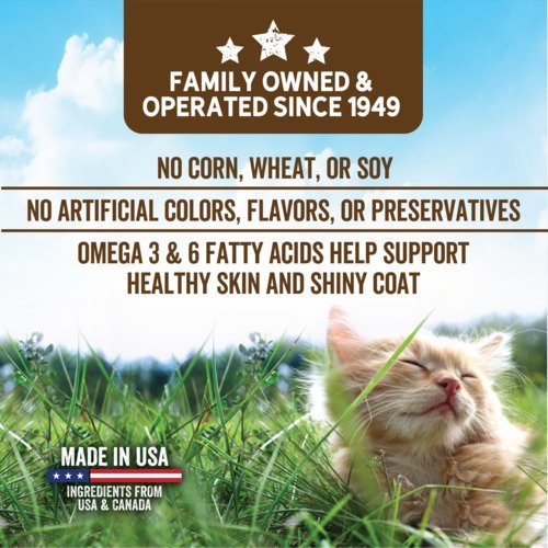 Alimento Evolve para gato grain free ocean whitefish & egg - Licious