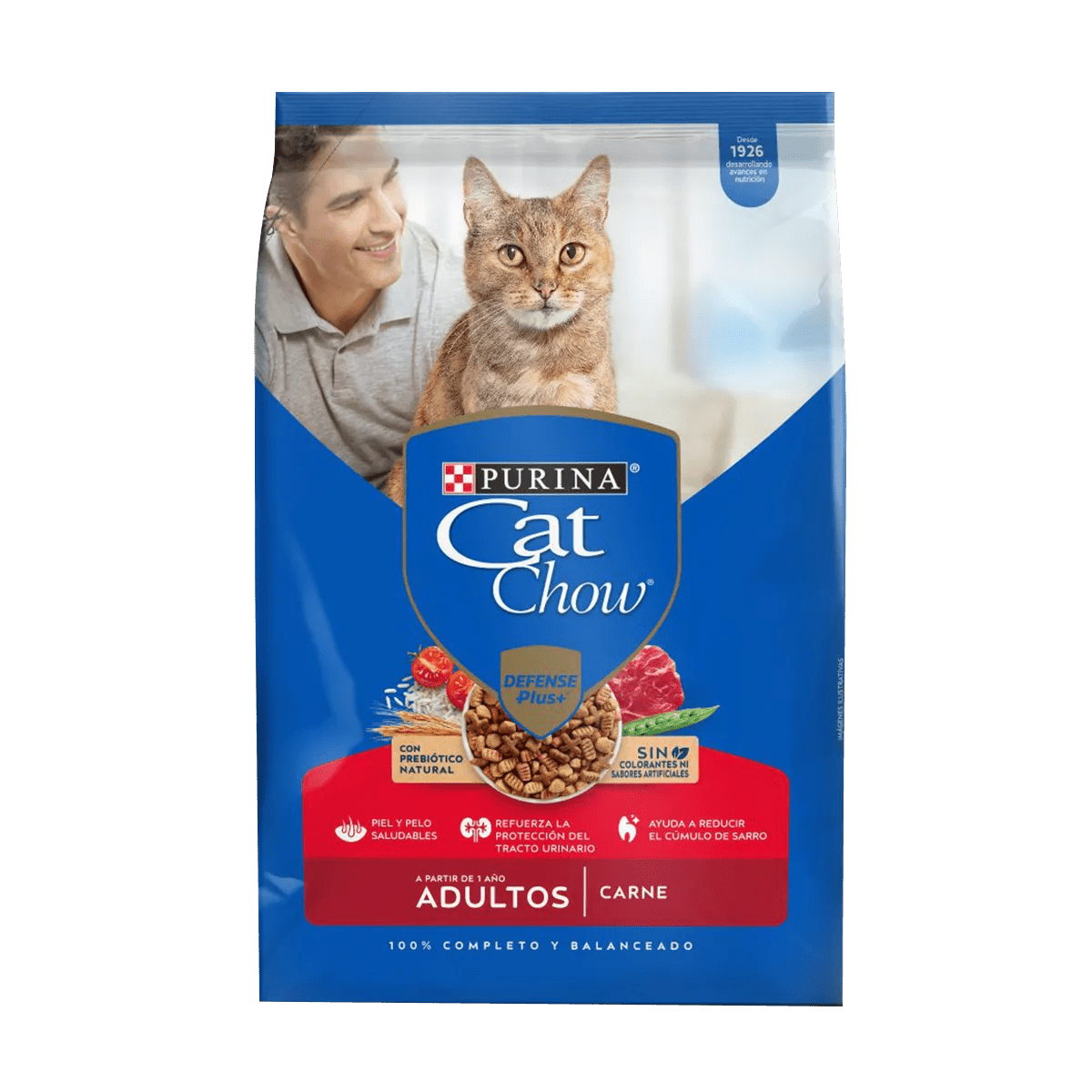 Alimento Gato Cat Chow Adulto Activo - Licious