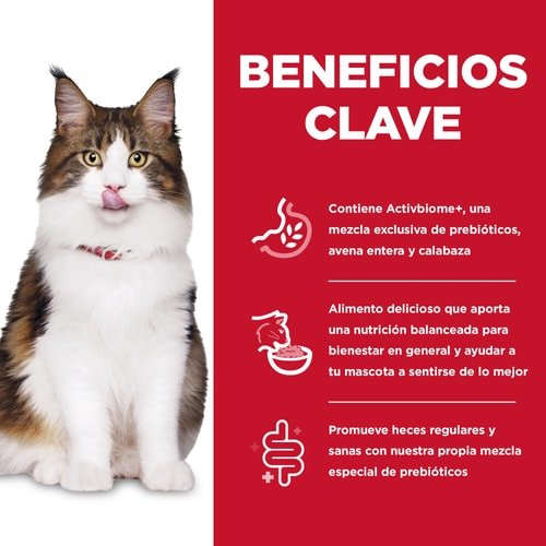 Alimento Hills De Cuidado Digestivo Para Gato Adulto - Licious