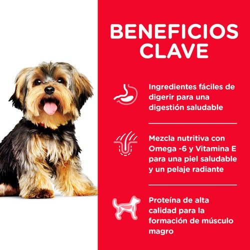 Alimento hills para perros adultos de razas pequeñas y miniatura - Pollo - Licious