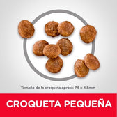 Alimento hills para perros adultos de razas pequeñas y miniatura - Pollo - Licious