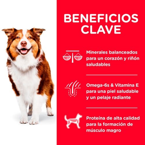 Alimento Hills Para Perros Senior 7+ - Licious