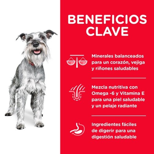 Alimento Hills para Perros Senior - Licious