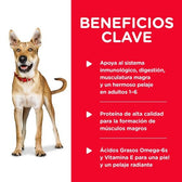 Alimento húmedo Hills para perros Adultos - Licious