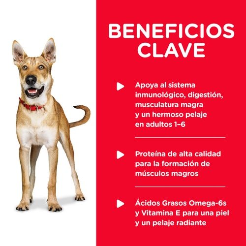 Alimento húmedo Hills para perros Adultos - Licious