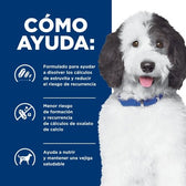 Alimento Para Perro Hills Urinary Care C/D Dry - Licious