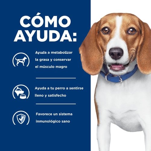 Alimento Para Perro Hills Weight Reduction R/D Dry - Licious