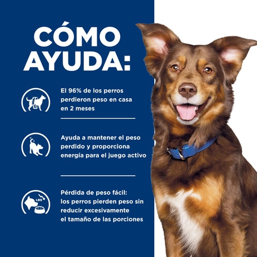 Alimento Húmedo Para Perro Hills Adult Metabolic