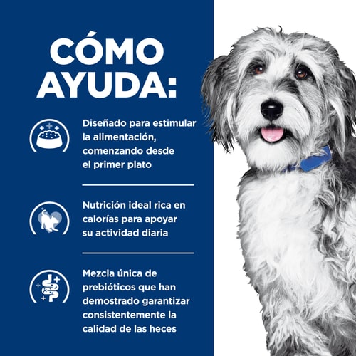 Alimento Húmedo Hills Para Perro  C ONC Care