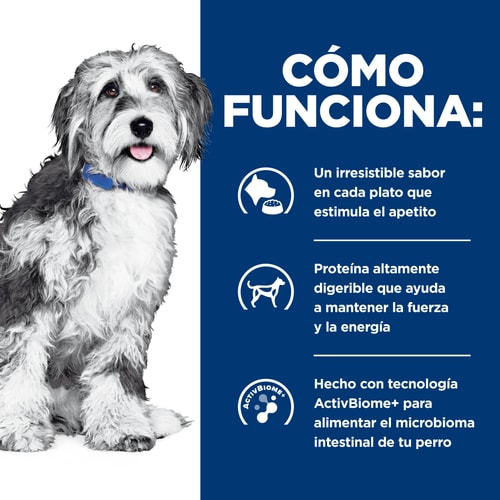 Alimento Húmedo Hills Para Perro  C ONC Care