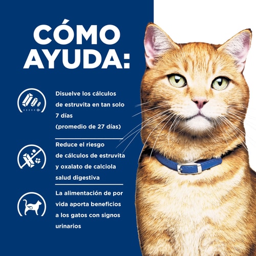 Alimento Hills Para Gatos c/d Multicare