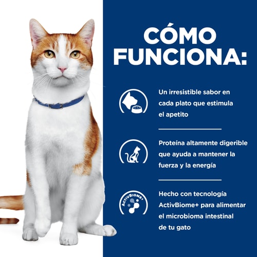 Alimento Hills Humedo para gatos ONC Care