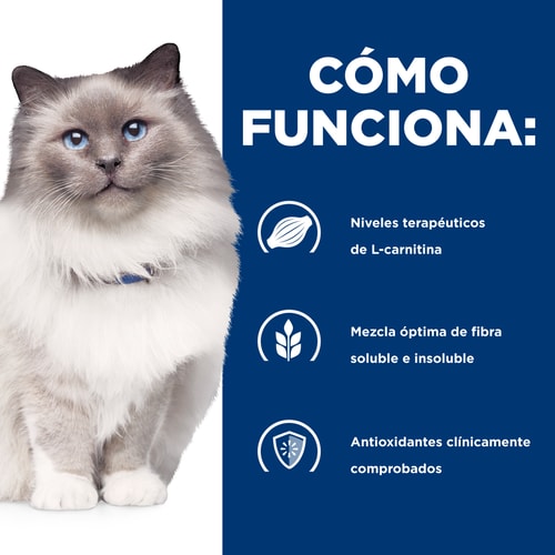 Alimento Hills Para Gato R/D