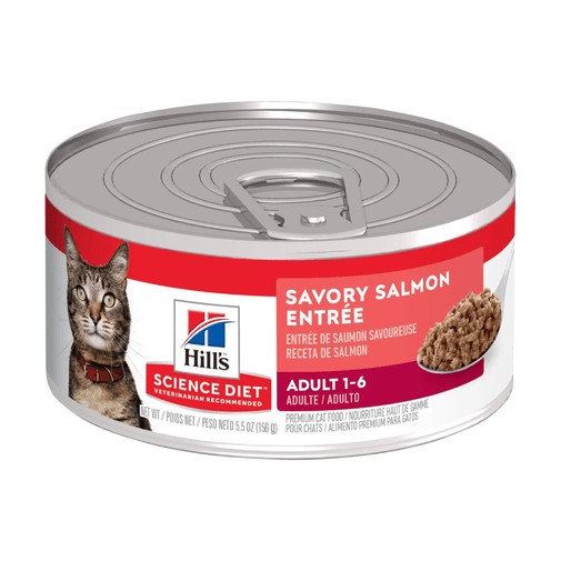 Alimento Húmedo Gato Hills F Adult Savory Salmon