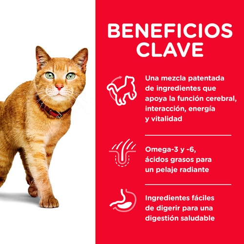 Alimento Hills para gatos senior